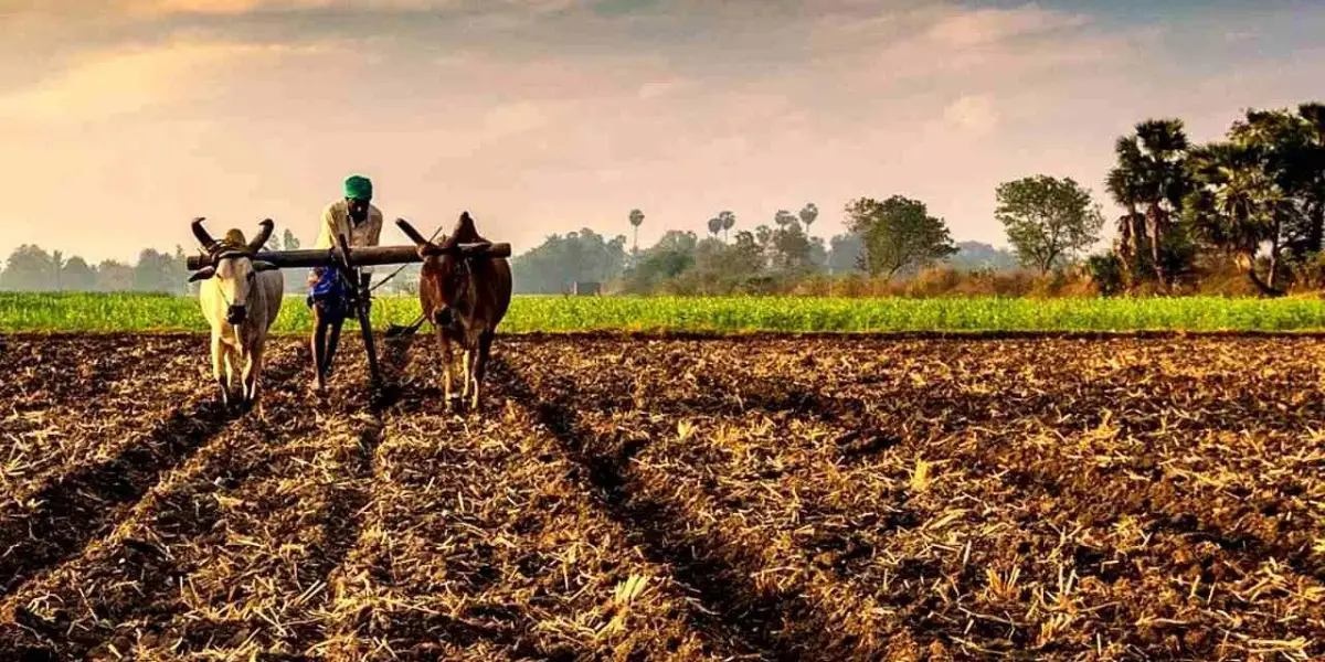 PM Kisan scheme : प्रधानमंत्री किसान सम्मान निधि योजना, किसानों के हित में ऐतिहासिक कदम