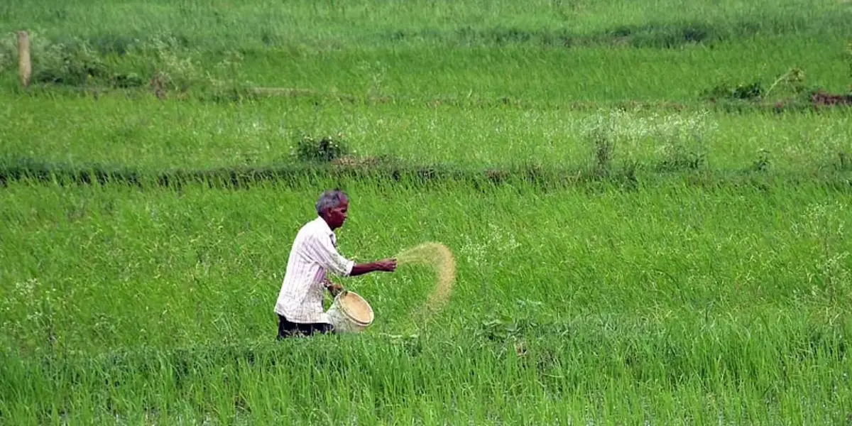 PM Kisan scheme : प्रधानमंत्री किसान सम्मान निधि योजना, किसानों के हित में ऐतिहासिक कदम